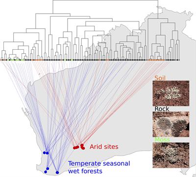 Repeated Colonization Between Arid and Seasonal Wet Habitats, Frequent Transition Among Substrate Preferences, and Chemical Diversity in Western Australian Xanthoparmelia Lichens